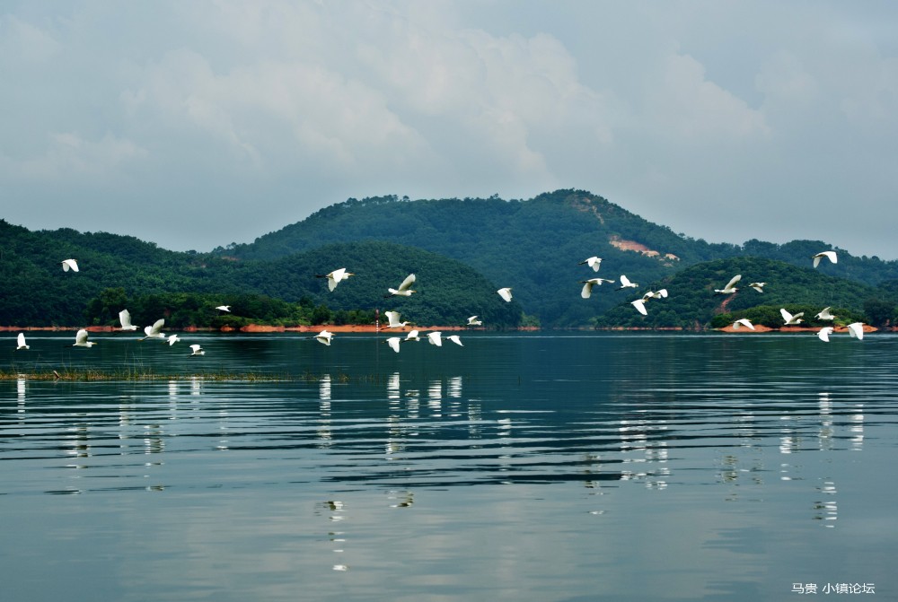 玉湖国家水利风景区7.jpg