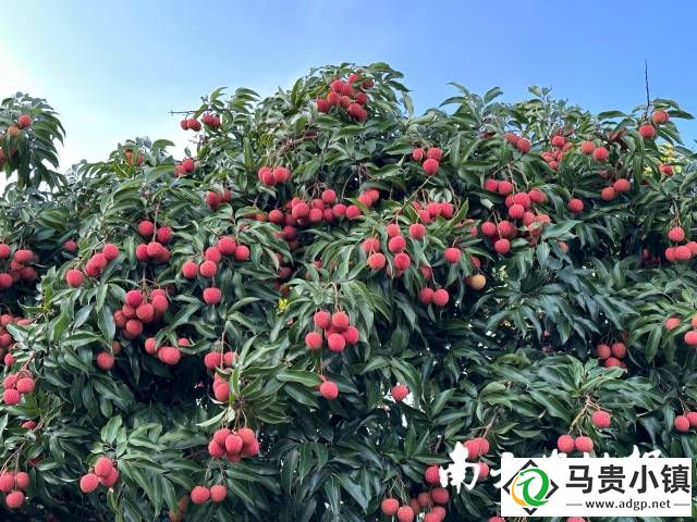 受访者供图